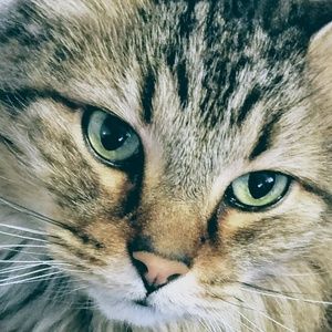 Meet your Posher, Jesse